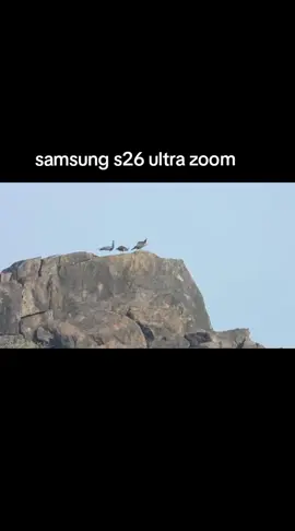 #samsung #s26 #ultra #camera #zoom #fouryoupage #zooming #fouryoupage #manoqueenxzooming #fouryoupage #
