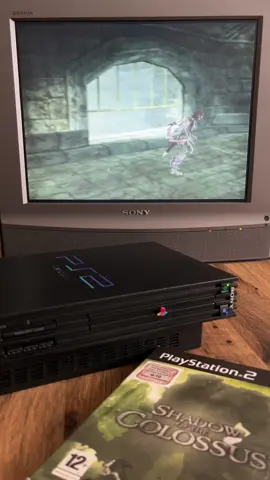 Shadow of the Colossus- still a pretty magical game to me 😌  #shadowofthecolossus #ico #playstation #playstation2 #ps2 #videogame #retrogaming 