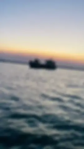موش كبور  #شعر #tiktok #capcut #زُيْنً_1425 #explore #اكسبلور #شعراء_وذواقين_الشعر_الشعبي #سمير_صبيح #