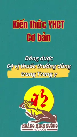 Đông dược : 64 vị thuốc bắc thường dùng #yhct  #yhoccotruyen  #kienthucyhoccotruyen #dongy #kienthucdongy #kienthucyhct #huyetdao #huyetvi #YHCT