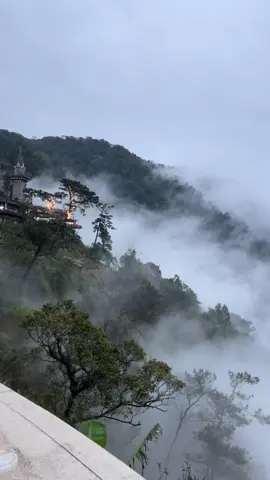 Mây bay thị trấn Tam Đảo, tỉnh Phú Thọ #tamdao #vinhphuc #phutho #phuot #phuotluon 