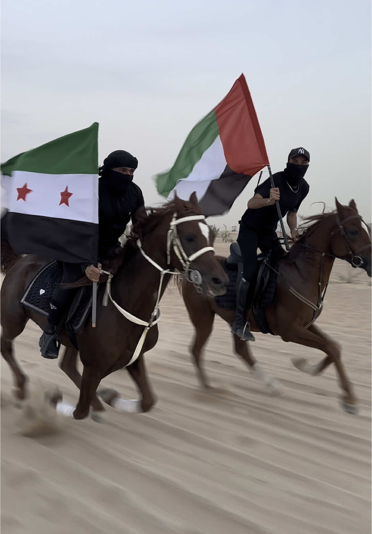 شكر موجه لقيادة الإمارات العربية المتحدة و لشعبها الشقيق المضياف🇦🇪 #سما_الامجاد_بمحمد #الامارات #احرار_سوريا #فرسان_سوريا #السعودية #قطر#سوريا #الكويت #دبي #خيل #خيل_وخياله🐎 #خيل_عربي_اصيل #خيول_عربية_اصيلة #ابن_حمص @hozaifaaaa 