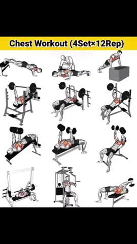 💪 #gym #GymLife #workout #gymfreak #toptags #gymtime #gymrat #bodybuilding #gymmotivation #train #fitfam #progress #muscle #training #befit #health #gymaddict #instahealth #hulk #body #fit #strong #motivation #determinant #determination #instadaily #musclegain #cleaneating #exercise #fyp #كمال_الاجسام #رياضة 