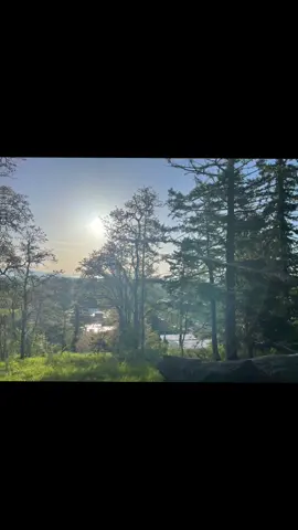 #pnw #oregon #eugene #sunnydays #nature 