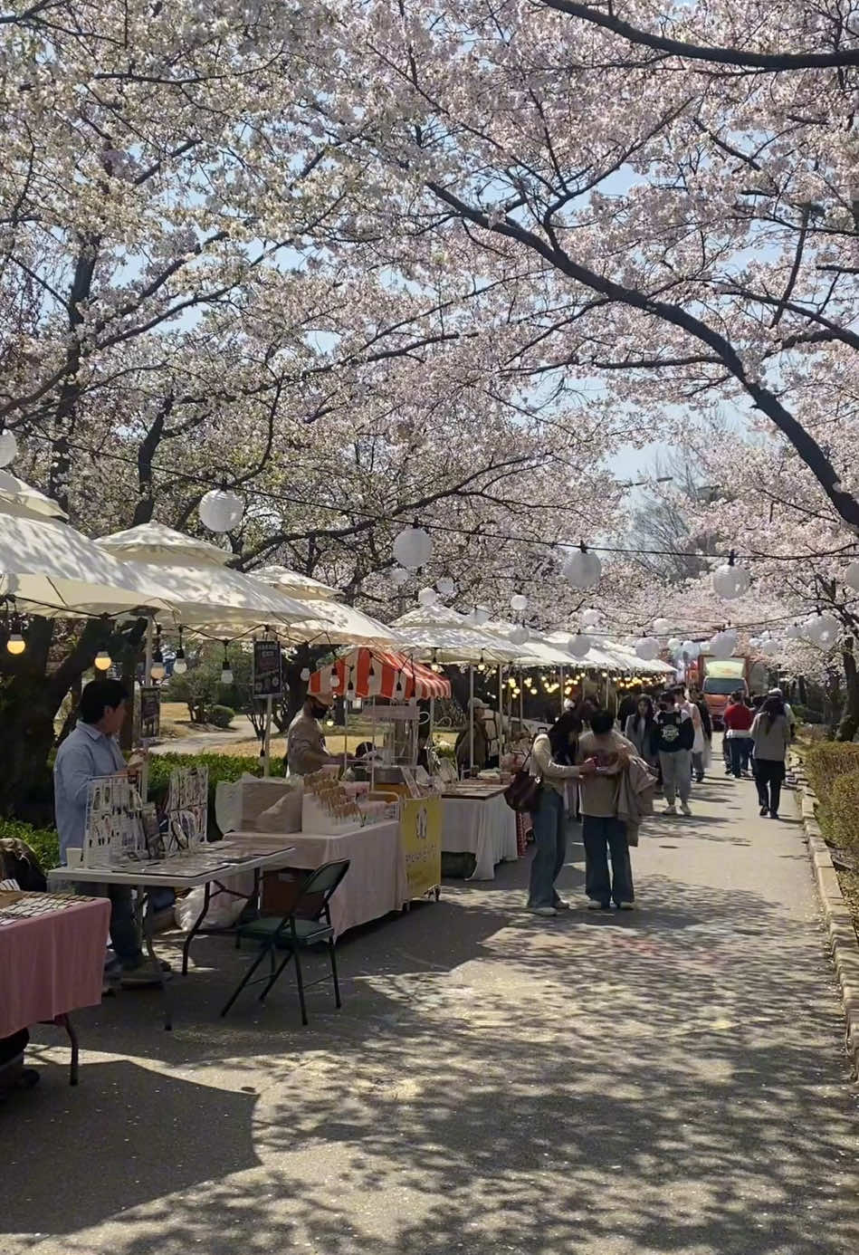 Đâu cần đi đâu xa, campus trường đẹp như mơ 🌸 #ajouvn #ajouuniversity #아주대학교 #fypシ #ajouvntiktok #유학생🇰🇷🇻🇳 