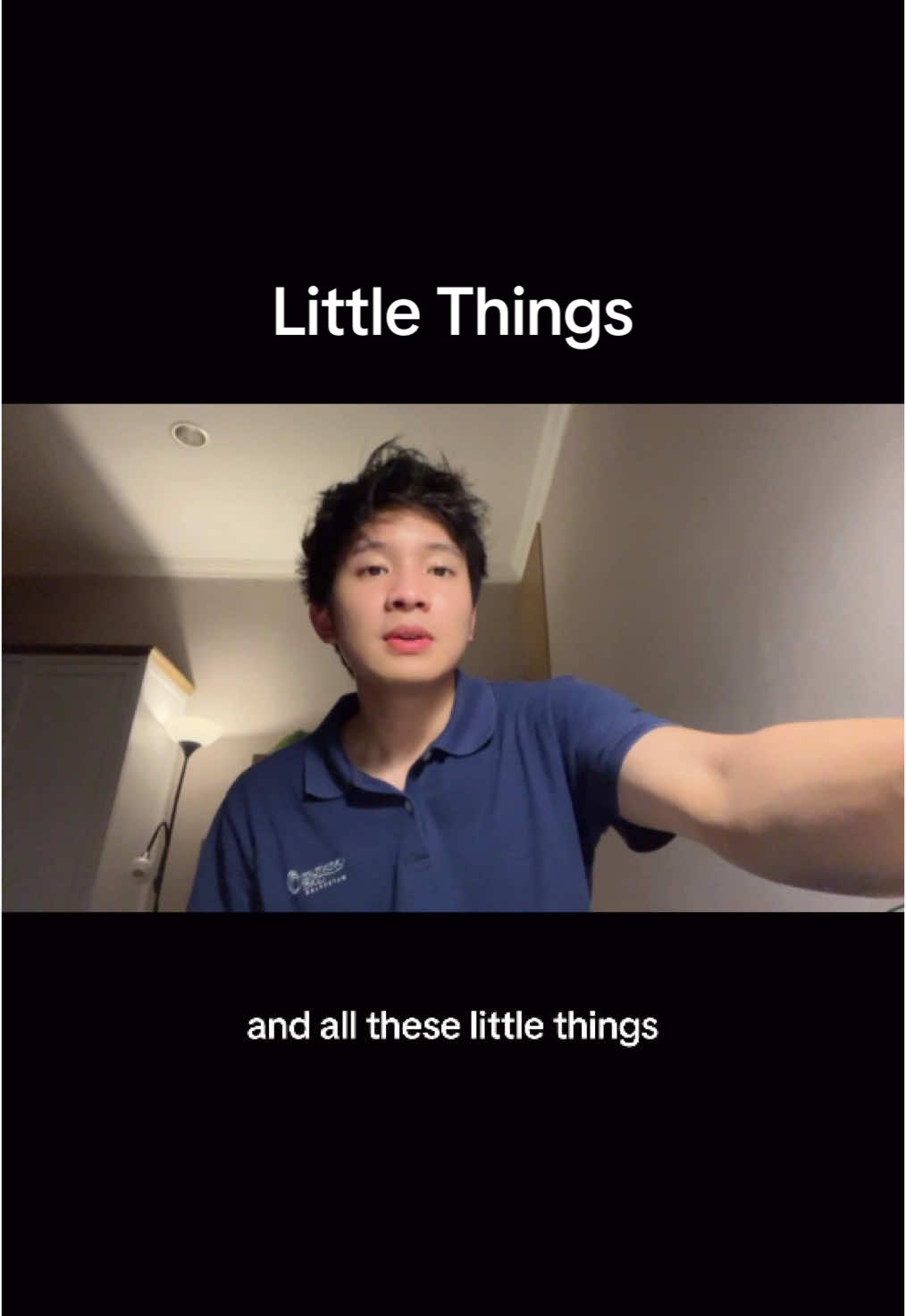 Little Things #onedirection #cover 