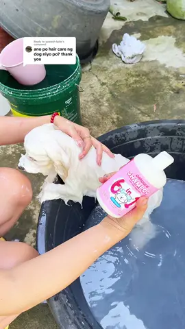 Replying to @spanish latte super hiyang ng pets ko to 6in1 pet shampoo ng petcore furrpals #petshampoo #dogshampoo #catshampoo #petsoap #dogsoap #catsoap #antitickandflea #petcoreessentials #furrpals 