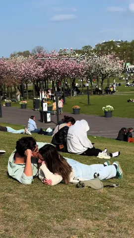 #flypシ゚ #forupage #fürdich 