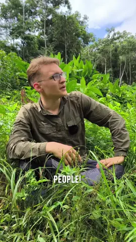 Ich hab mein Garten bereits gespiegelt und 800m^2 beschützt, jetzt seit ihr dran! Lasst uns dem Planeten  ein Gefallen tun!  Link: https://wilderness-international.org/robinga-schnoegelroegel People, ich bin jetzt Mitglied der Familie von @wildernessinternational ernational  genauso wie @robertmarclehmann @breakinglab und @tomatolix (hab kein Bild mit ihm) und viele viele weitere! Ick hab euch lieb! #biodiversität #naturgarten #vögel #insektenparadies #naturnah #lebensraum #raupenfutter #insektenfreundlich #schmetterlinge #perù #travel #forschung #wissenschaft #bäume #baumriesen #mutternatur 