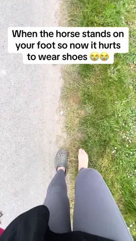 #horse #horses #horsegirl #equestrian #horsetok #horseriding #horsegirlvibes #equestriangirl #ouch 