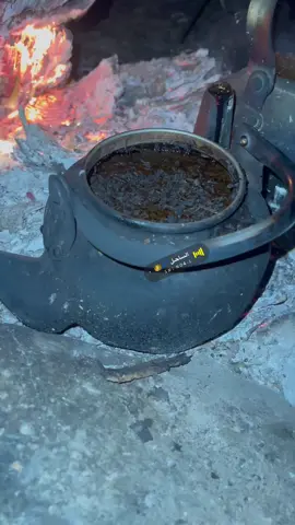 #المضيلف #ساحليات #شاهي 