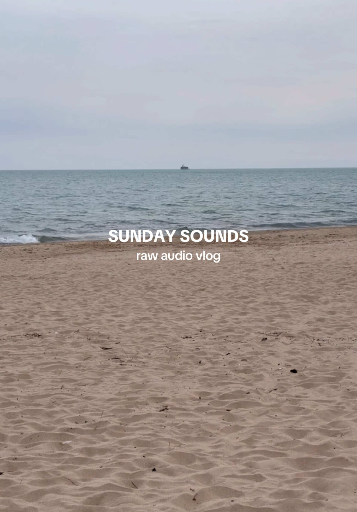 Spring time makes for the best Sundays 🌷🫧☀️🐰🪺#weekendvlog #sunday #speingcleaning #chicago #springinchicago #rawaudio #dayinmylife #relaxingvideos 