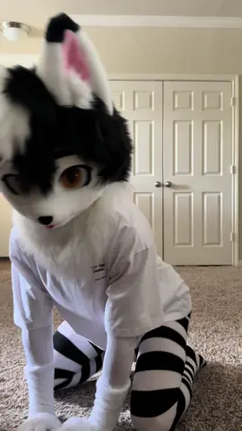 puppy loop 🤍🖤 #furry #fursuit 