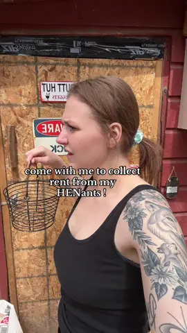 RENT IS DUE !!!!!!! #eggcollecting 