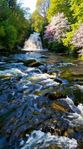 Когда природа рисует акварелью — рождается такая магия…#волшебствоприроды #цветущиймир #магиявкадре #природарисует #горнаяречка #водопадмечты #акварельприроды #естественнаякрасота #экзотическоеместо #рекавдолине #пейзаждня #inspiringnature #naturelovers #waterfallmagic #bloomingtrees #scenicview