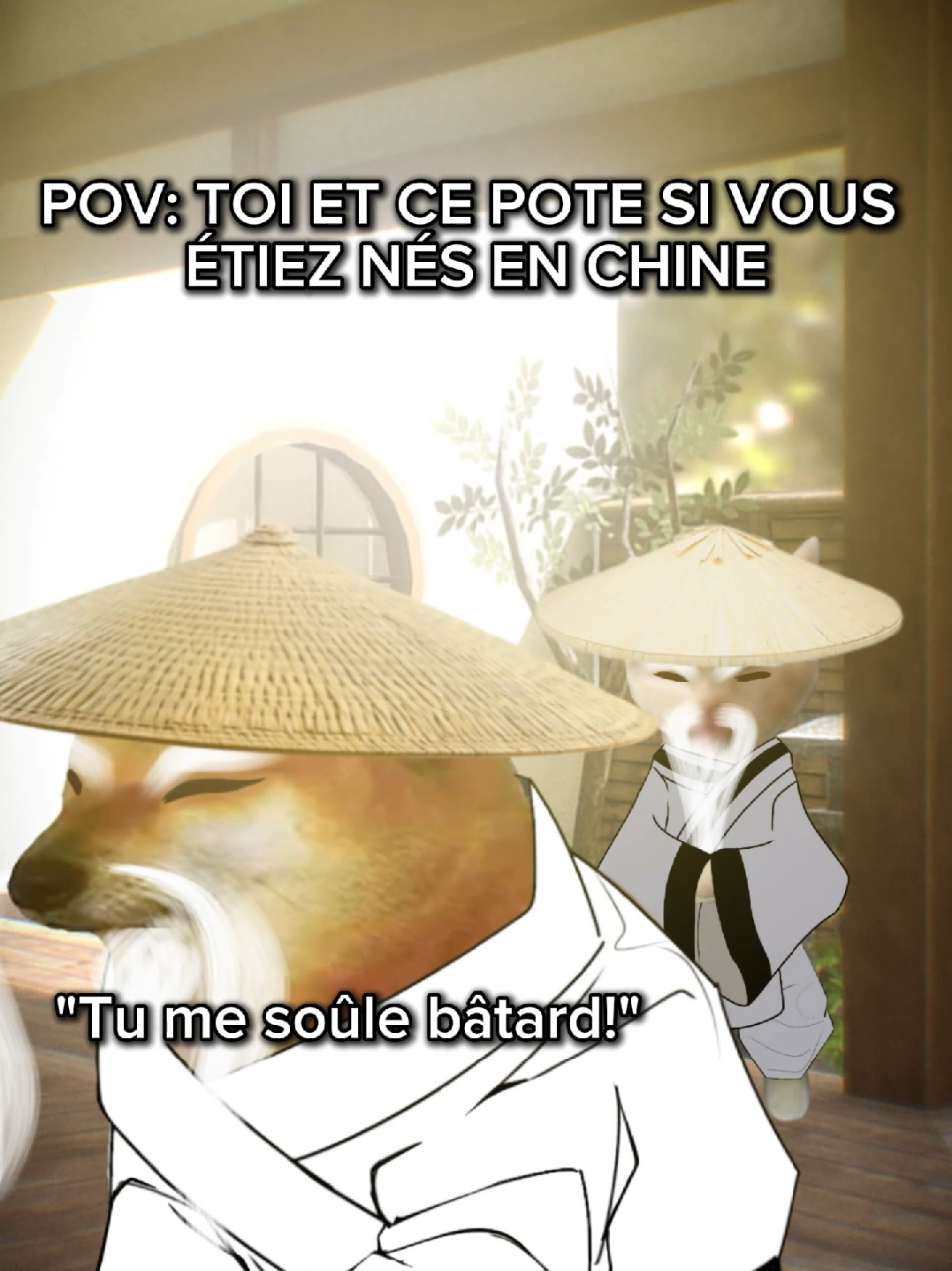 Toi et ce pote si vous étiez né en Chine 💀 Chinese vs Vietnamese  #dankmemes #catmemes #humour #leclodooriginel 