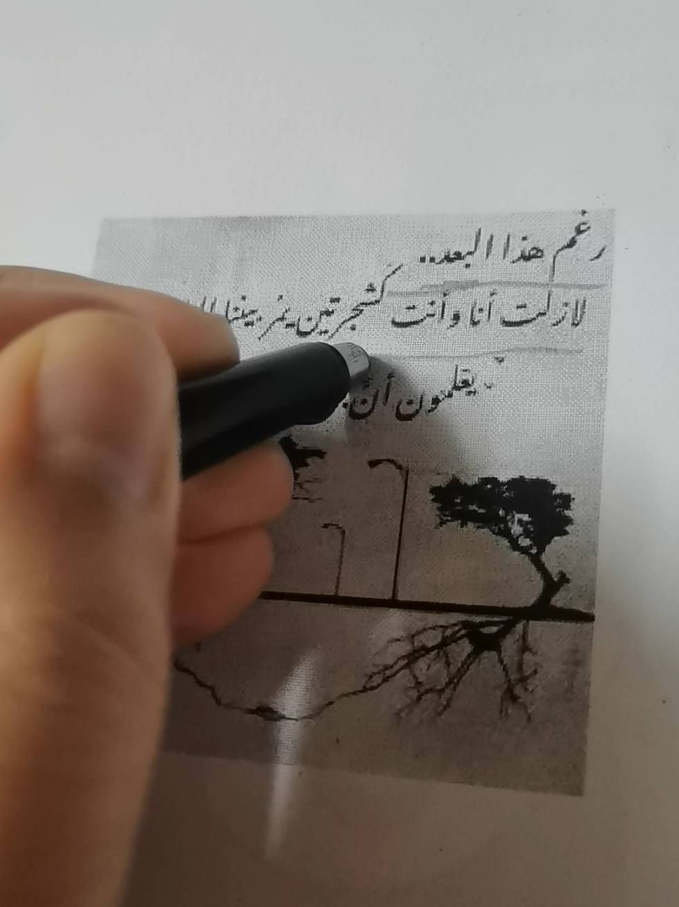 رغم هذا البعد لازلت انا وانت كشجرتين يمر بيننا الناس ولا يعلمون ان  جذورنا تتعانق #fyp #foryou #foryoupage #follow #explore #edit 