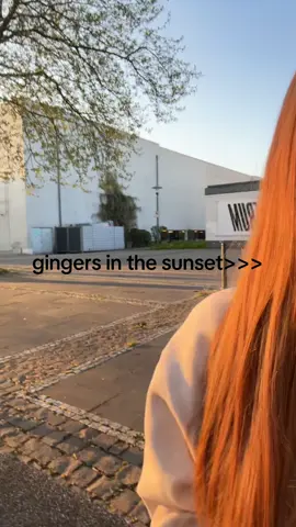 #gingers #redhead #sunset