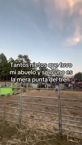 #trendingvideo #viralvideos #tik_tok #paratiiiiiiiiiiiiiiiiiiiiiiiiiiiiiii #rodeo #vaquero #jinete #abuelo #nietos 
