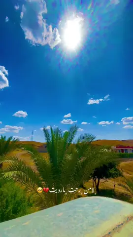 ﮼لامن ﮼رحت ﮼مارديت💔🥺                            #حيدر_العابدي #صعدو_الفيديو #قدرو_التعب🎥❤🔥 #تصميميـ #سامراء #fypシ゚viral #fypシ゚viral #fypシ゚viral #fypシ゚viral #fypシ #fypシ゚viral #fypシ゚viral #fypシ #fypシ゚viral #fypシ゚viral #fypシ #fypシ゚viral #fypシ゚viral #fypシ 