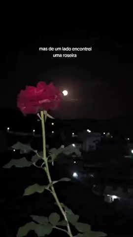 mas era um amor desesperado...🌹 #fy #foryou #pontos #cantigos #juremasagrada #umbanda #religioes 