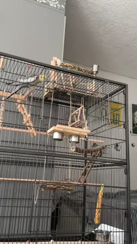 crying #fürdich #viral #foryou 