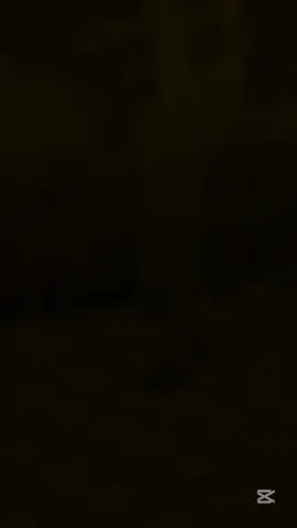 Mery Mehboob Qayamt Hoghi #flutecover #indiansong #bollywoodsong #khurramshahzad #ringtone #viralvideo #imrankahan @ramlach_official110🕊️ 