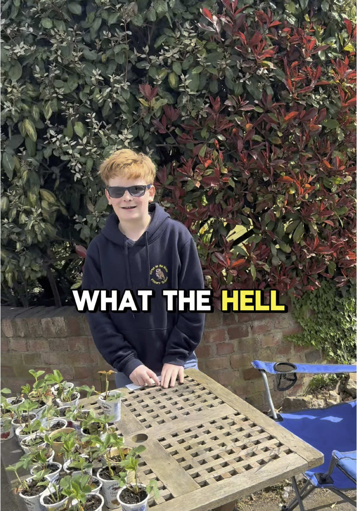 Bought Strawberry Plants for 50p Each from Two Young Entrepreneurs – Future Millionaires? #CapCut #fyp #creatorsearchinsights #enterpreneur  #startyoung 