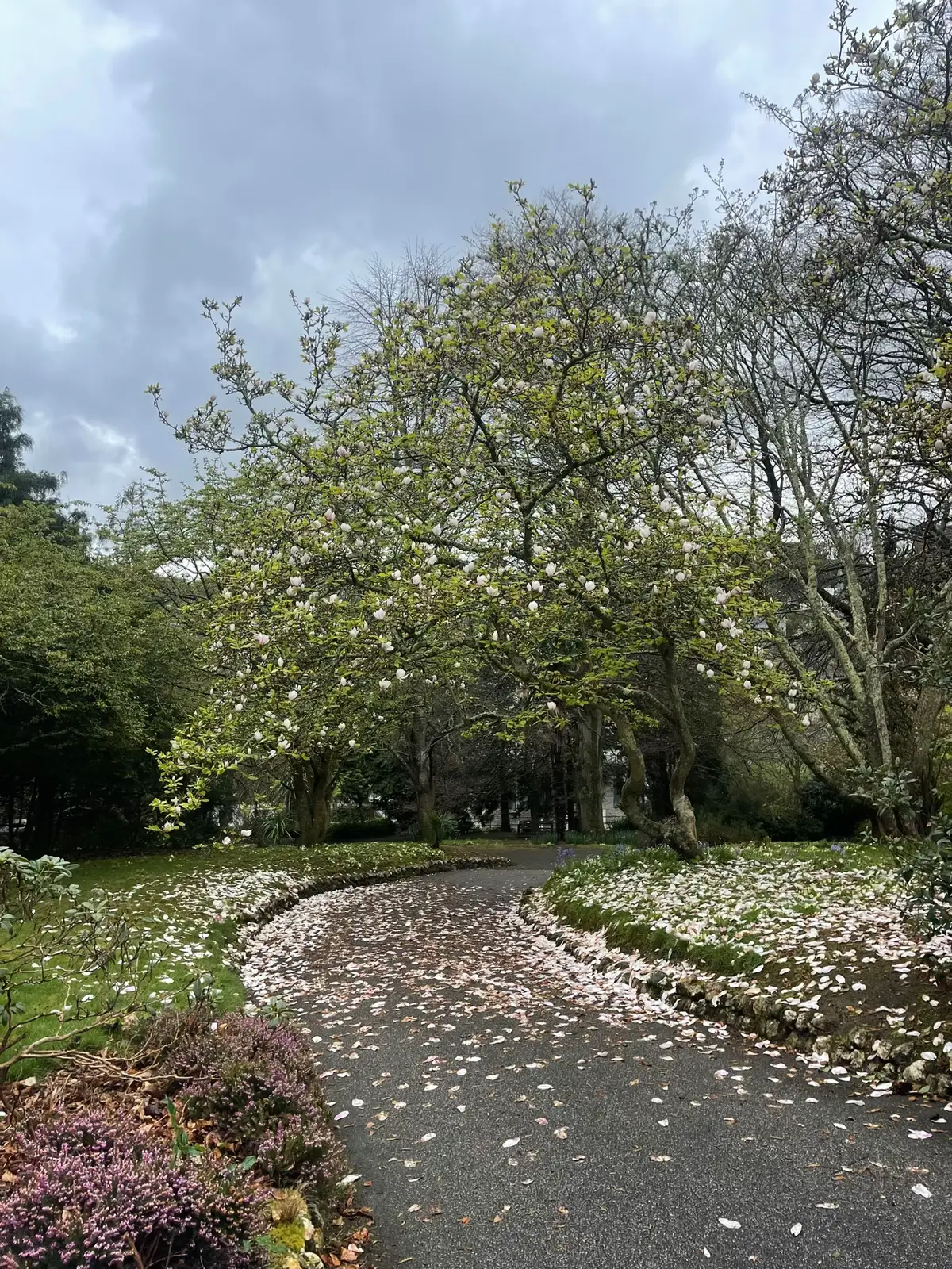 got rained on but that’s ok