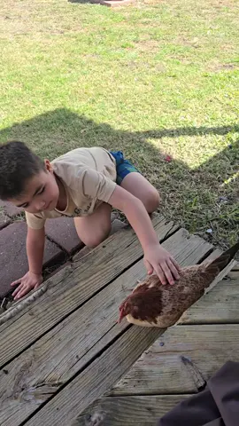 No podemos tener perritos porque es alérgico. Lo bueno es que ella se deja tocar.. 😍😊🤭