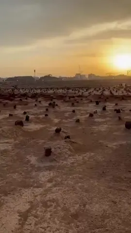 مامۆستا کامەران رحمە اللە #قەبرستانی بقیع