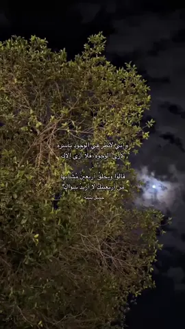 عذب الغزل 🙂‍↔️ #نايف_حمدان #هداج🦯 #جميل_بثينه #fyp #foryoupage #foryou #مالي_خلق_احط_هاشتاقات #القمر #قصيد 
