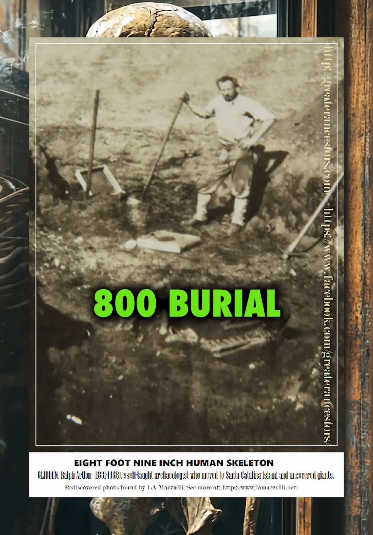 Nephilim Giant bones found on Catalina Island. #ninjasarebutterflies #podcast #giants #catalinaisland #history