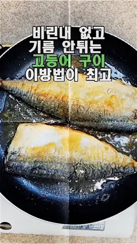비린내 잡고 기름 안튀게 하는 고등어 구이 저는 이 방법이 최고였습니다#요리레시피 ​ #고등어구이 ​ #고등어냄새안나게굽는법 ​ #고등어기름안튀게굽는법 ​ #고등어비린내안나게굽는법 ​ #고등어맛있게굽는법 ​ #한식 ​ #반찬 ​ #한국음식 ​ #koreandish ​ #koreanfood ​ #koreanmomcooking ​ #koreanfafacooking ​