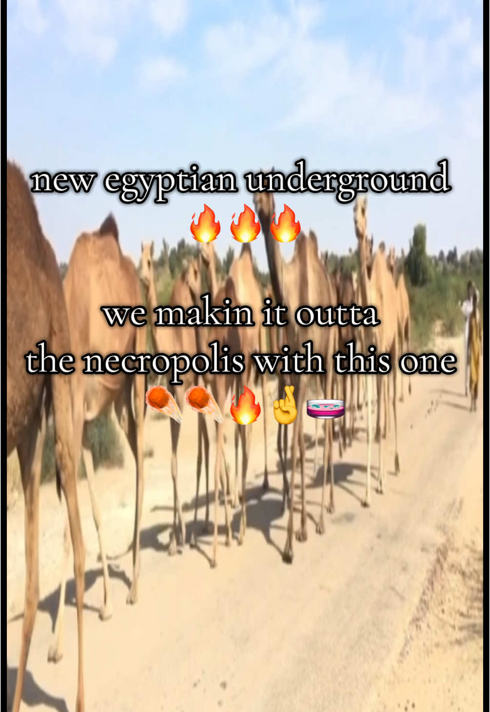 New underground egyptian jazz🔥🔥🔥🔥 #underground #undergroundmusic #egypt #slimetok #juggtok