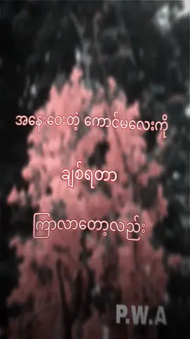 #အနေးဝေးတဲ့ကောင်မလေးအတွက်😡#ဒီတစ်ပုဒ်တော့fypပေါ်ရောက်ချင်တယ် #ချစ်စရာကောင်းတာတစ်ခုပြမယ်🥺🎀 #ဒီတစ်ပုဒ်တော့fypပေါ်ရောက်ချင်တယ် #မူရင်linkပိုင်ရှင်အားcrdပေးပါတယ်🥀💔🙏 #မင်းတို့idolဖစ်ချင်လို့🤭💖 
