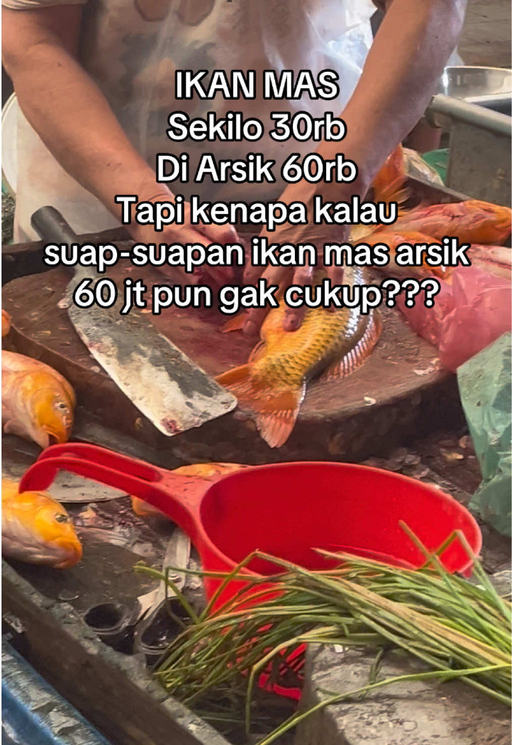 #bataknese #borubatak #halakbatak #bataktiktok 
