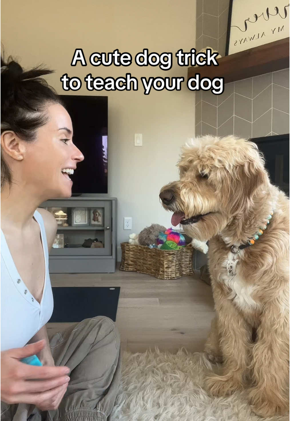 He makes everything look adorable 🥰 #cutedogs #goldendoodle #dogtricks #doglover 