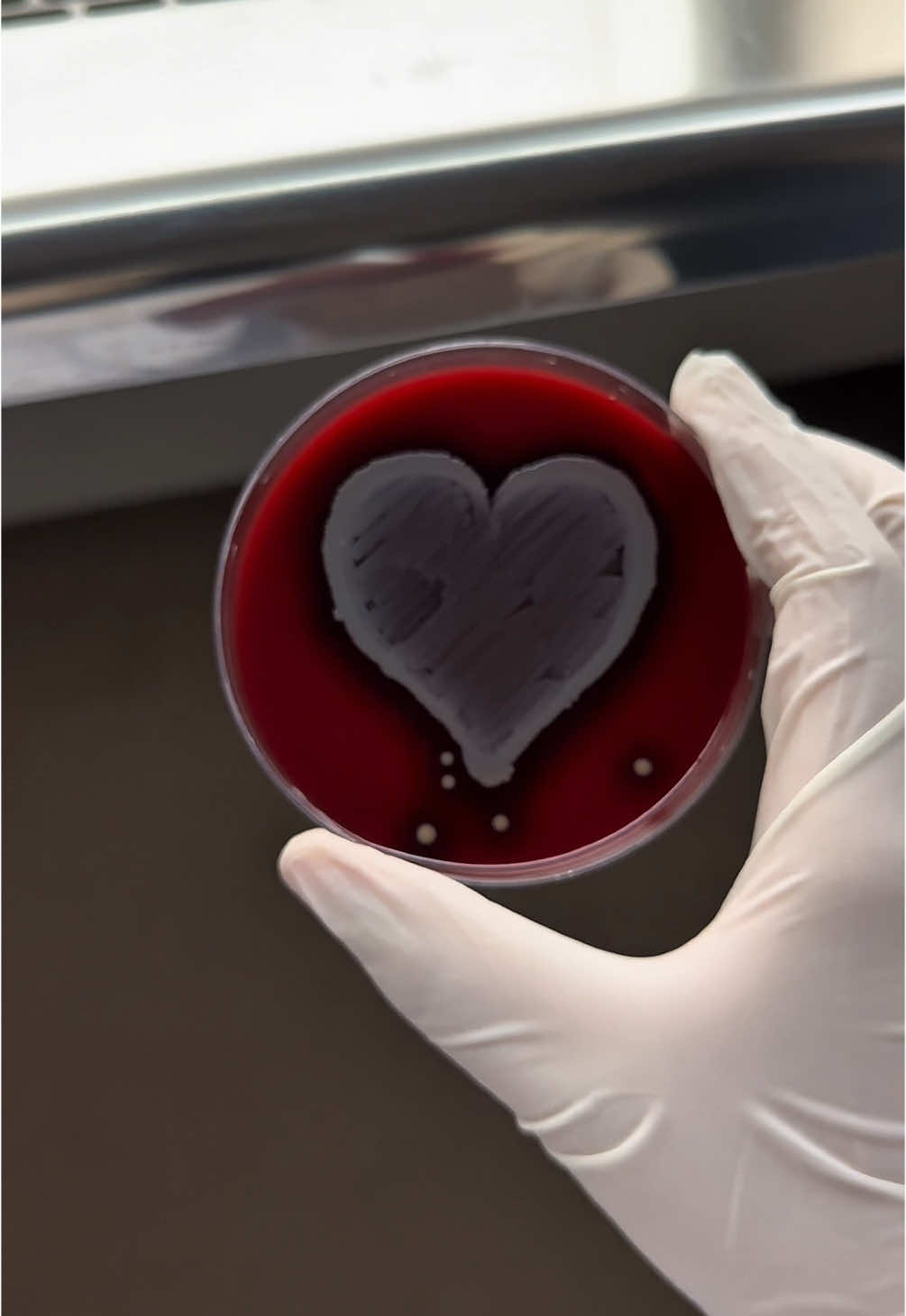 يلوموني في حب المختبرات الطبية وأنا منهم🥹🩶. #اكسبلور #مختبرات_طبية #اليوم_العالمي_للمختبرات_الطبية #مايكرو #تصوير #فلوق #بدون_موسيقى #explore #foryou #fypシ゚ #Vlog #microbiology #laboratory 