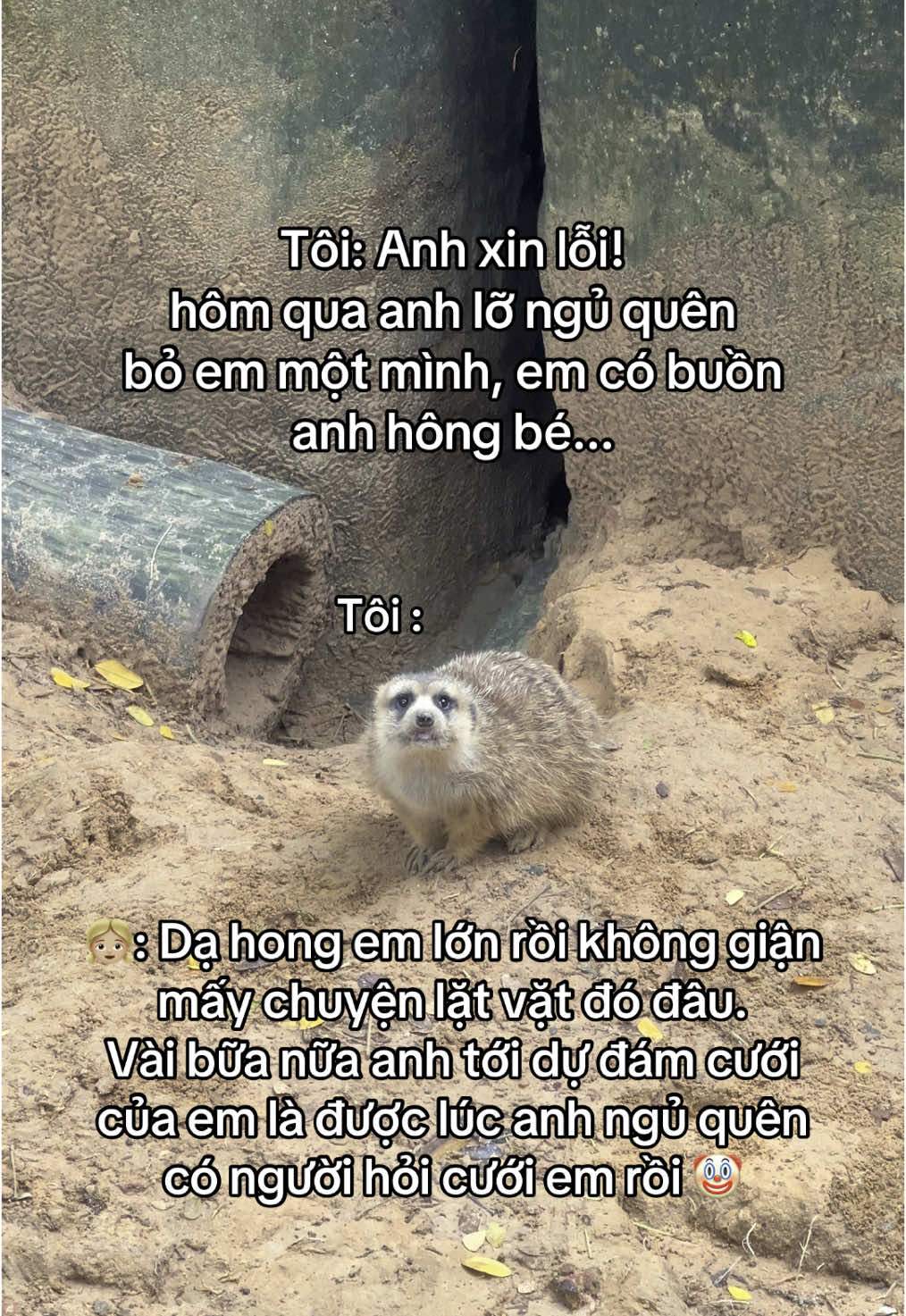 Nhớ tới dự nha anh 🫶 #fipシ #viral #xh #th #trending #monkey #GreenCreator, #VinWonders, #Vinpearl, #VinpearlGolf, #WonderSummer #TuhaoVietNam 