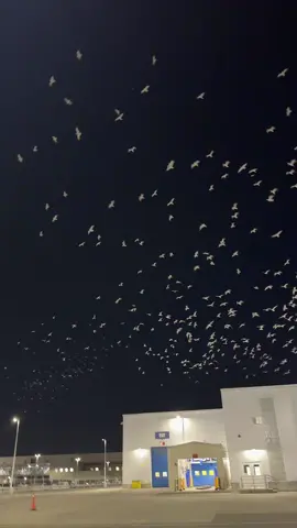 😉#fyp #fyyyyyyyyyyyyyyyy #fypシ #foryourpage 