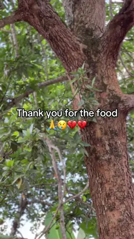 Please donate anything little 🙏😢😢💔