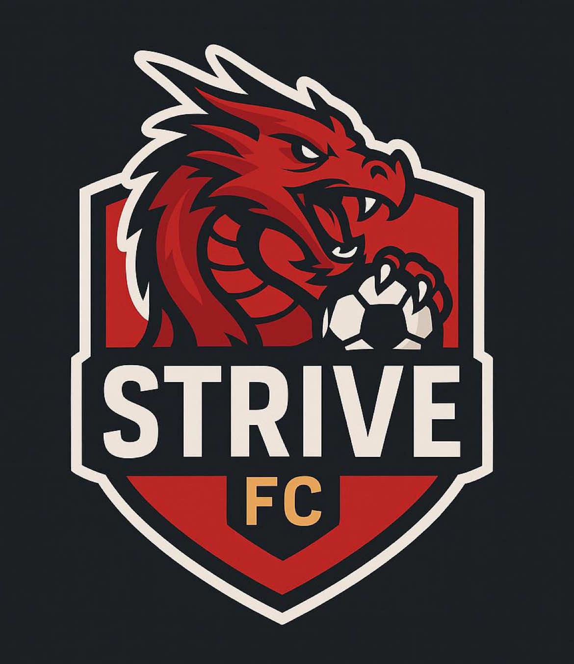 GOALIES POV.#Football #newbegginings #goaliesaves 