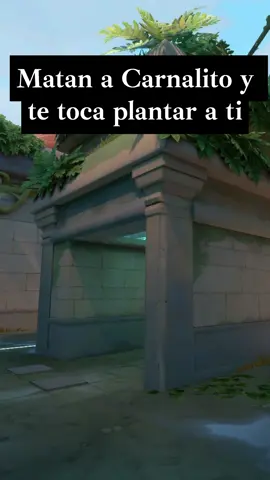 Report Carnalito troll 😑😡 #humor #gamerentiktok #Valorant #valorantgaming #riotgames #random #fyp #outofcontext #WT #funny #lmao #manco #noob #leagueoflegends #lolcito #tendencia #para #ez #gamertiktok #you