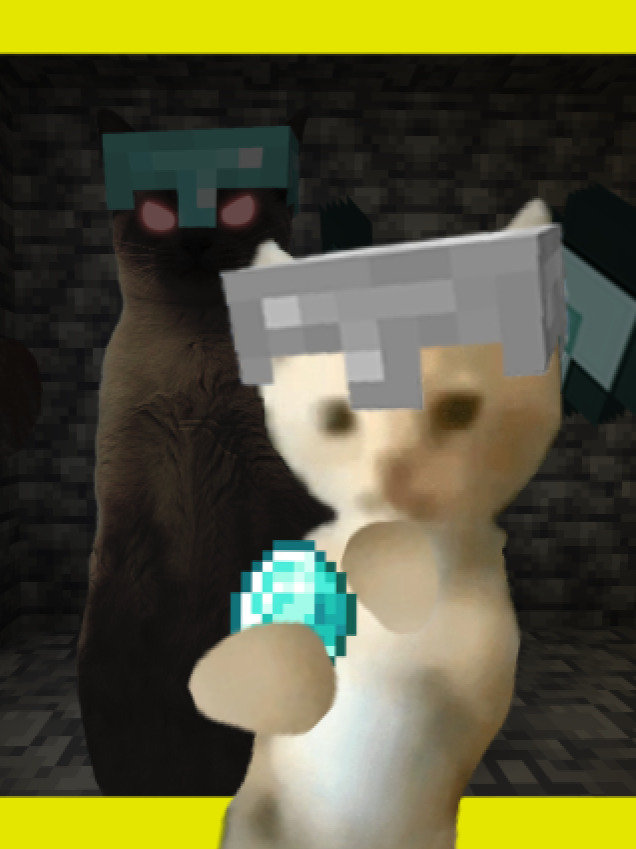 Miguel X Diamonds #cat #Minecraft
