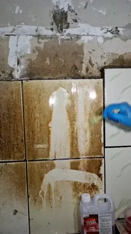 modal sekali usap langsung mengkilap😍🥰 #toiletcleaner #premium #pushclean #solusikerakmembandel #rekomendasi #pembersih #kerak #keramik #wc 