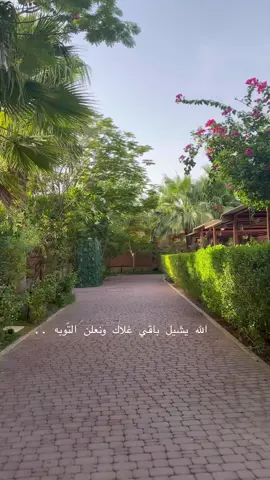 #الشعب_الصيني_ماله_حل😂😂 #مالي_خلق_احط_هاشتاقات #اكسبلورexplore❥🕊 #foryourpage #fypage 