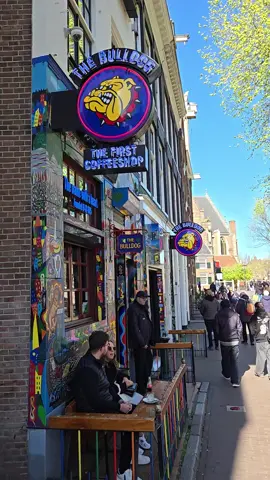 one of my favorite coffee shops in Amsterdam. so many good ones to choose from but this is an original. #Amsterdam #vibes #gardening #gardentok #spring  #fyp #chill #coffeeshop #fun 