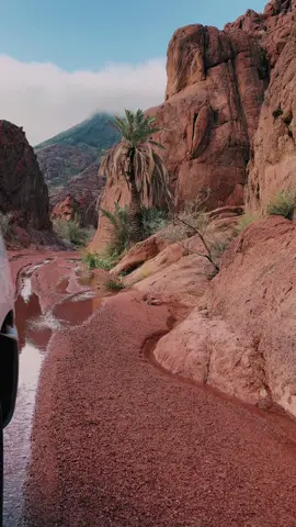 #حايل #تصويري #اكسبلور #شعيب#الرضفين#