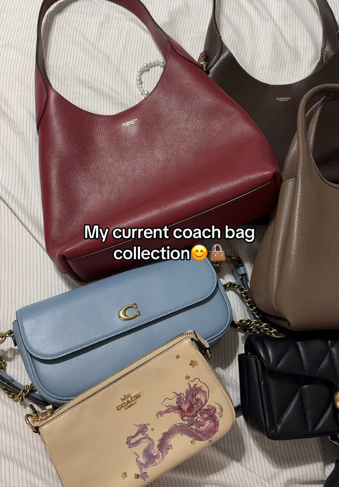 Forever coach girly 🤭👜🌸🍒 #fyp #foryou #coach #bags #purse #pursecollection #pursetok #brooklyn28 #haul #trending #viral #coachbag #viralbag #girlythings #girlytok #bagcollection #viralbag #coachny @Coach 